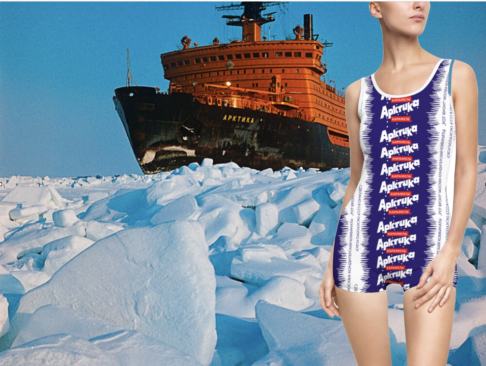 Arktika Vintage Swimsuit